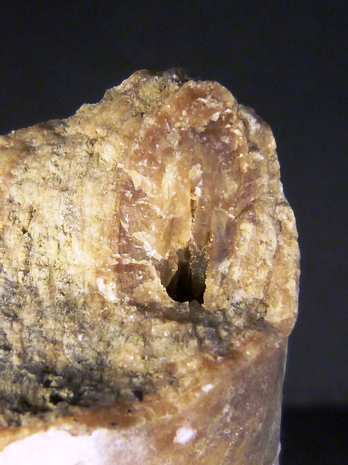 Calcita
2,5 x 9,5 x 2 cm.
(Autor: Felipe Abolafia)