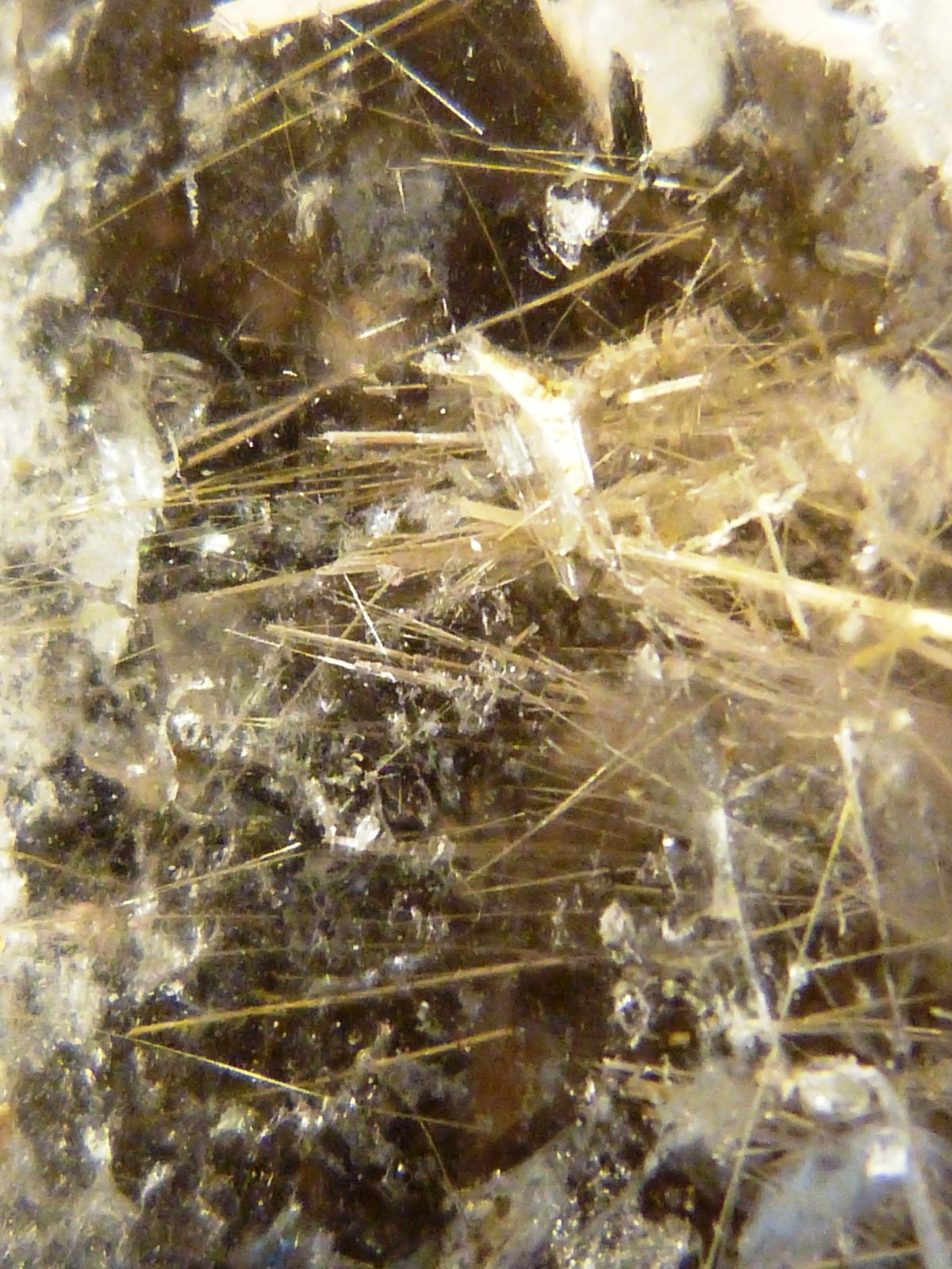 Cuarzo (variedad ahumado, rutilado)
7 x 4 cm. Ancho de las caras del prisma: 2 cm.
(Autor: Felipe Abolafia)