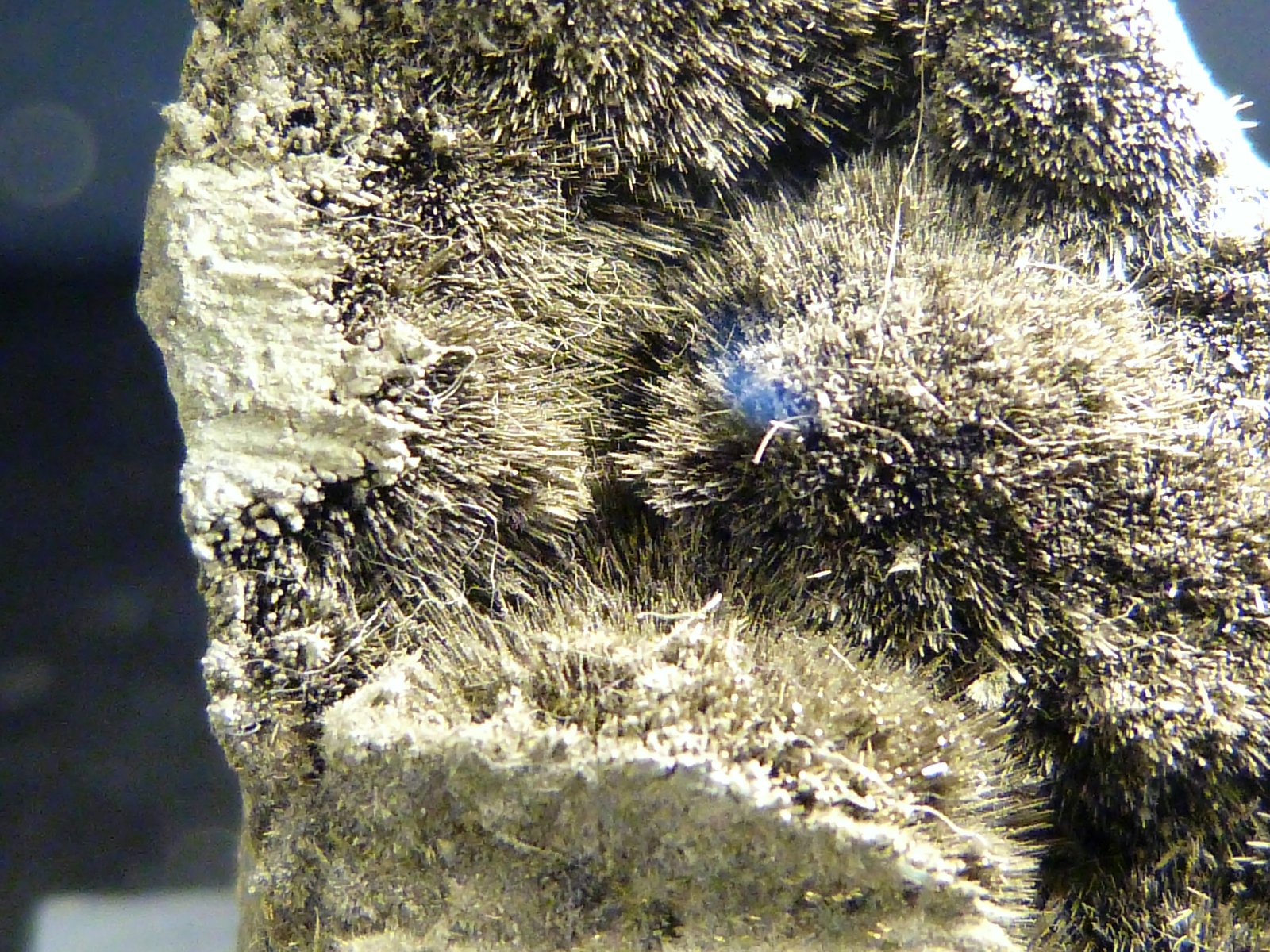 Millerita
4,5 x 6 x 1,5 cm.
(Autor: Felipe Abolafia)