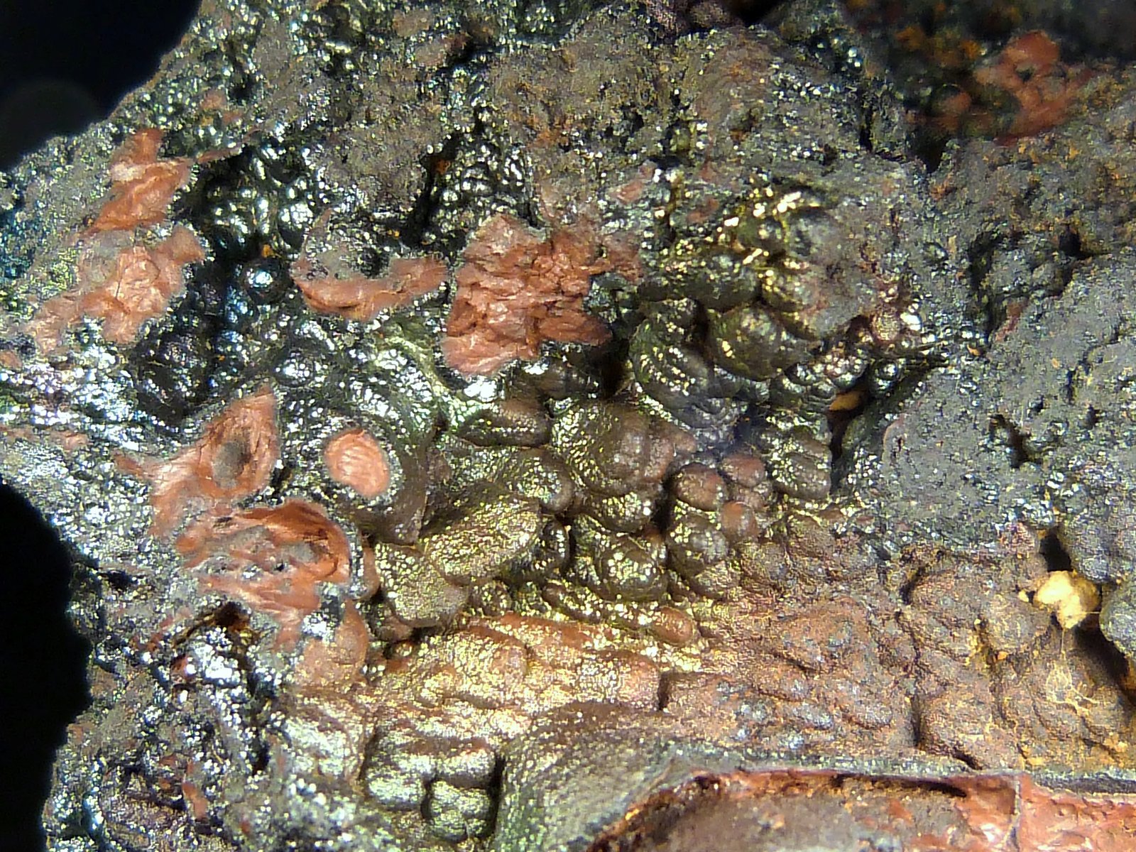 Goethita
6 x 7 x 4 cm.
(Autor: Felipe Abolafia)