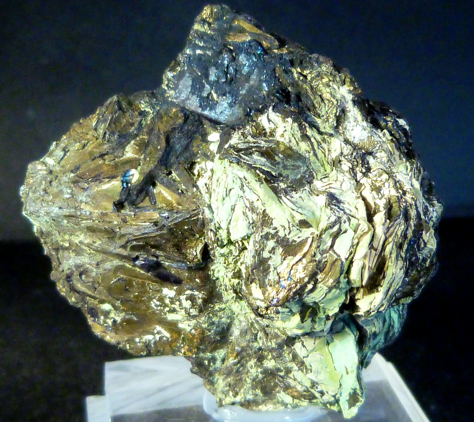 Covellita
5 x 5 x 3,5 cm.
(Autor: Felipe Abolafia)