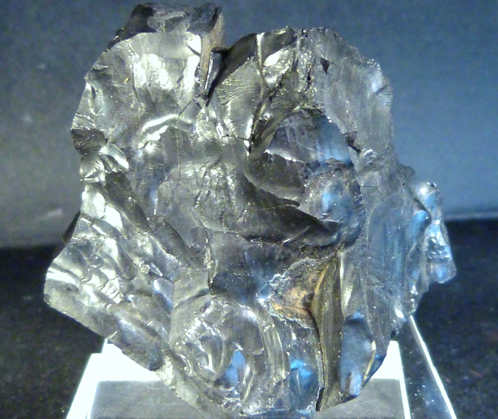Azabache
6 x 5 x 4 cm.
(Autor: Felipe Abolafia)