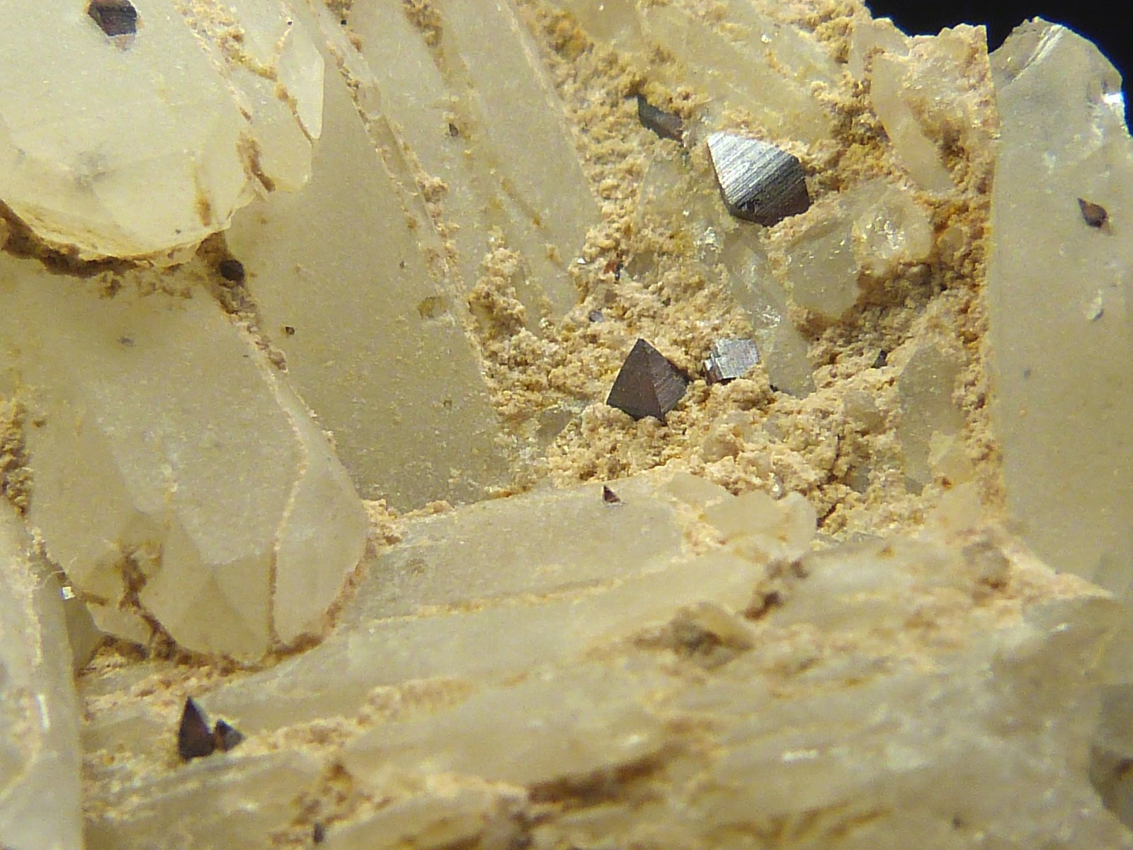 Anatasa, sobre cuarzo
3 x 5 x 3,5 cm.
(Autor: Felipe Abolafia)