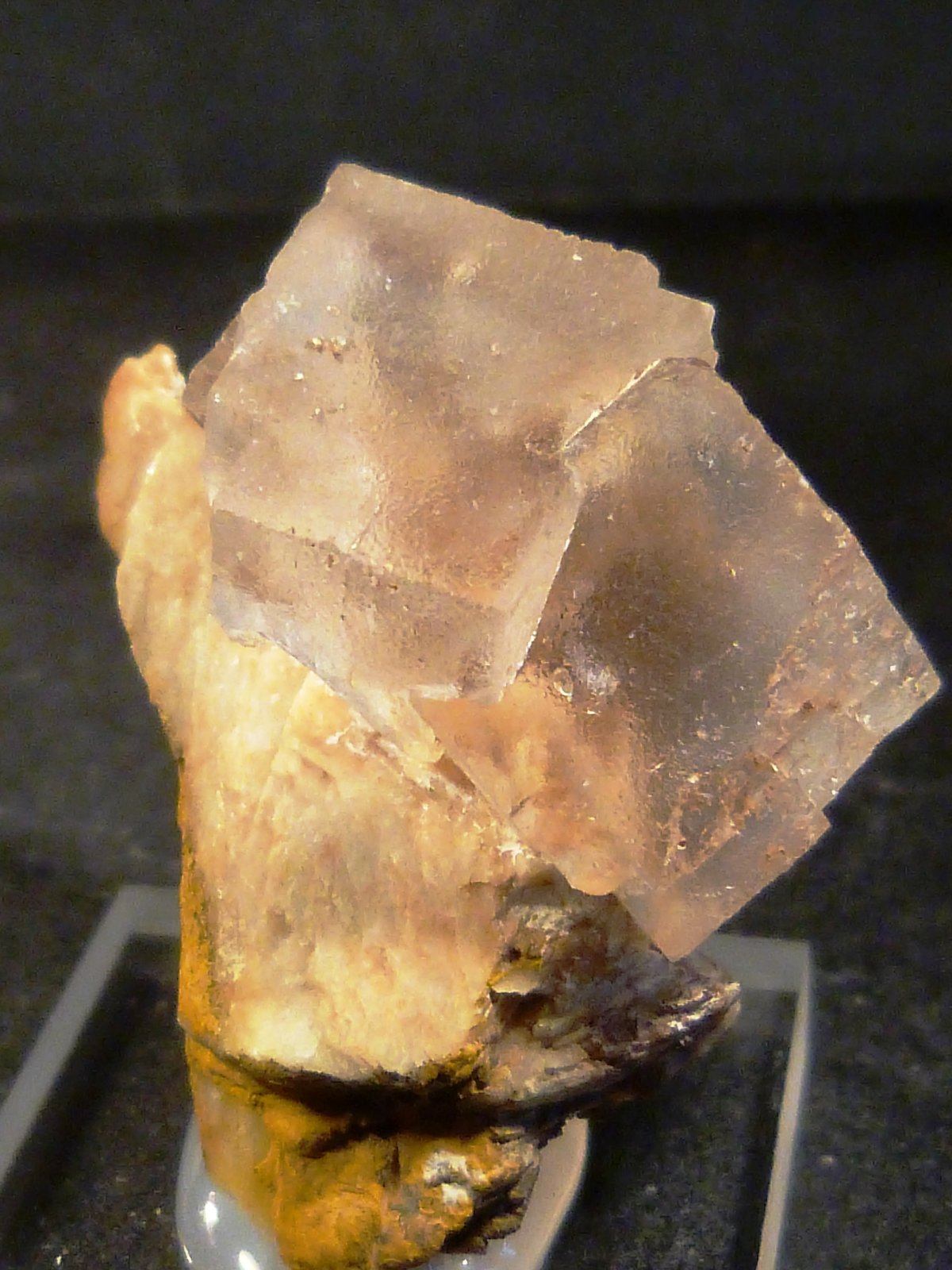 Fluorita
3 x 4 x 2 cm.
(Autor: Felipe Abolafia)