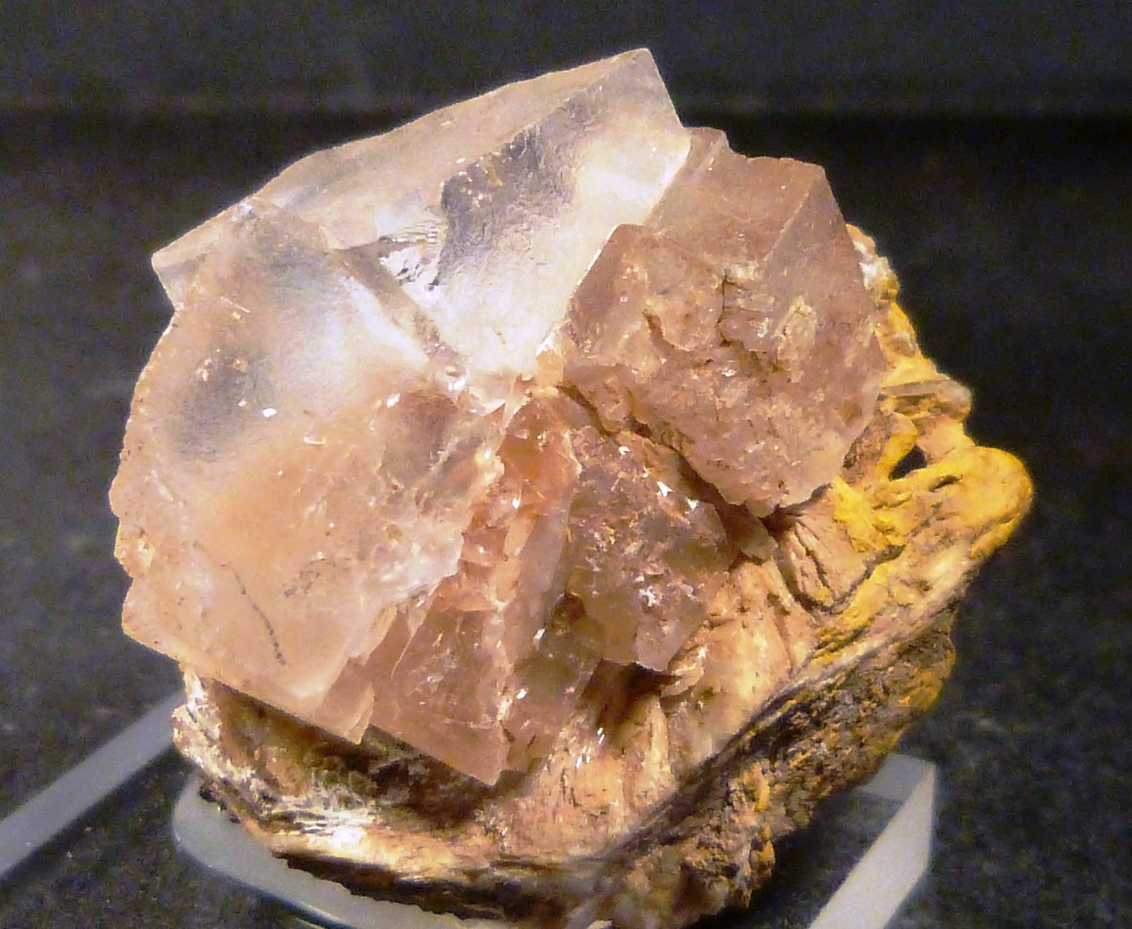 Fluorita
3 x 4 x 2 cm.
(Autor: Felipe Abolafia)