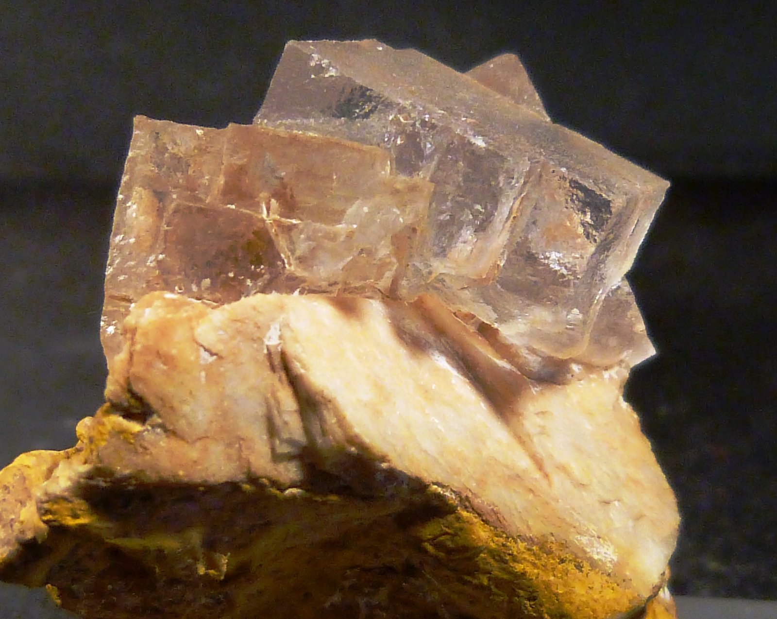 Fluorita
3 x 4 x 2 cm.
(Autor: Felipe Abolafia)