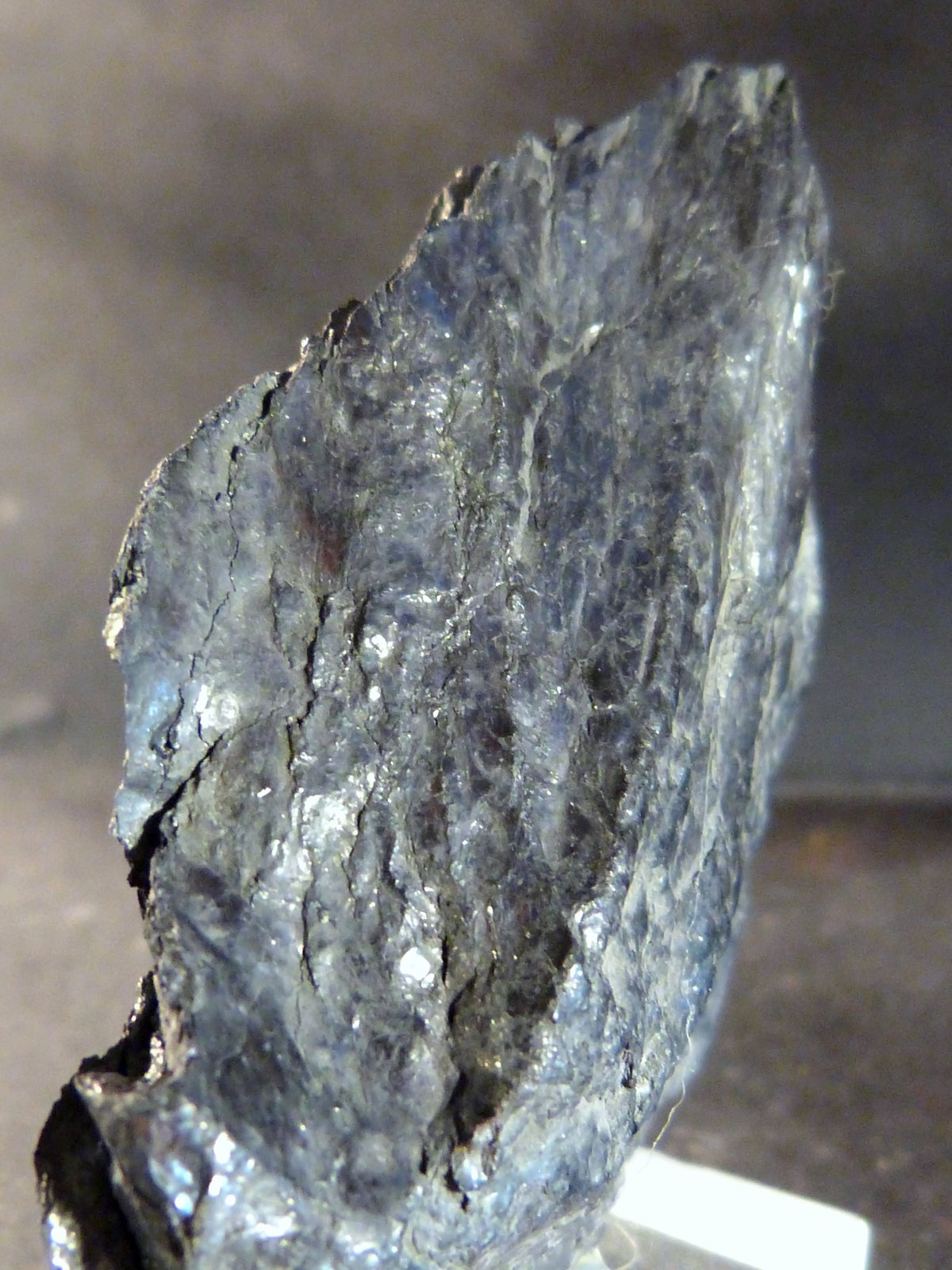 Grafito
5 x 6 x 1,5 cm.
(Autor: Felipe Abolafia)