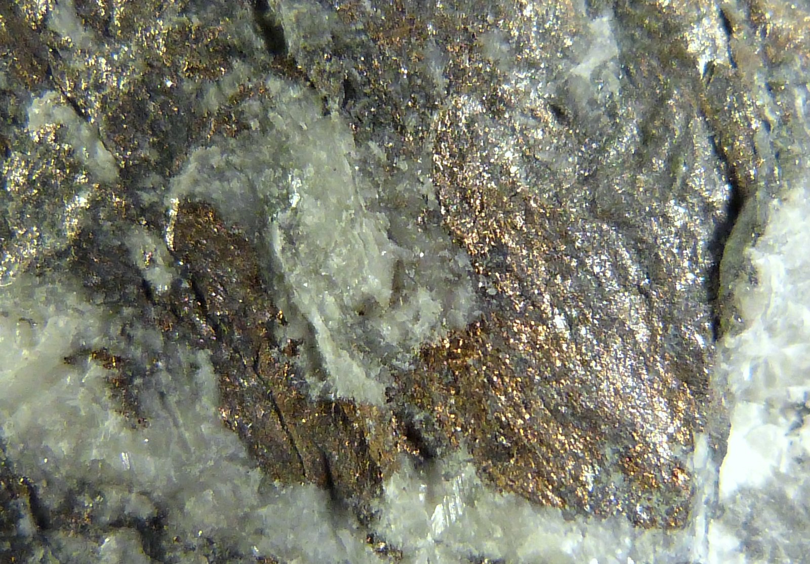 Niquelina
4 x 3,5 x 2 cm.
(Autor: Felipe Abolafia)