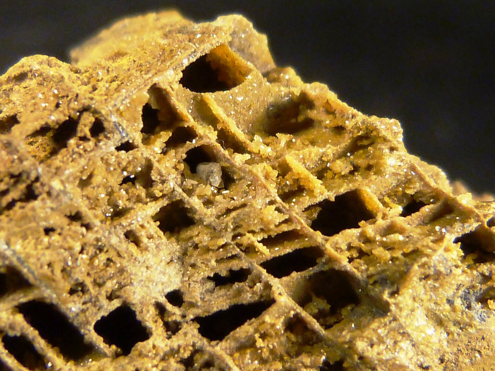 Calcita
5 x 5 x 3 cm.
(Autor: Felipe Abolafia)