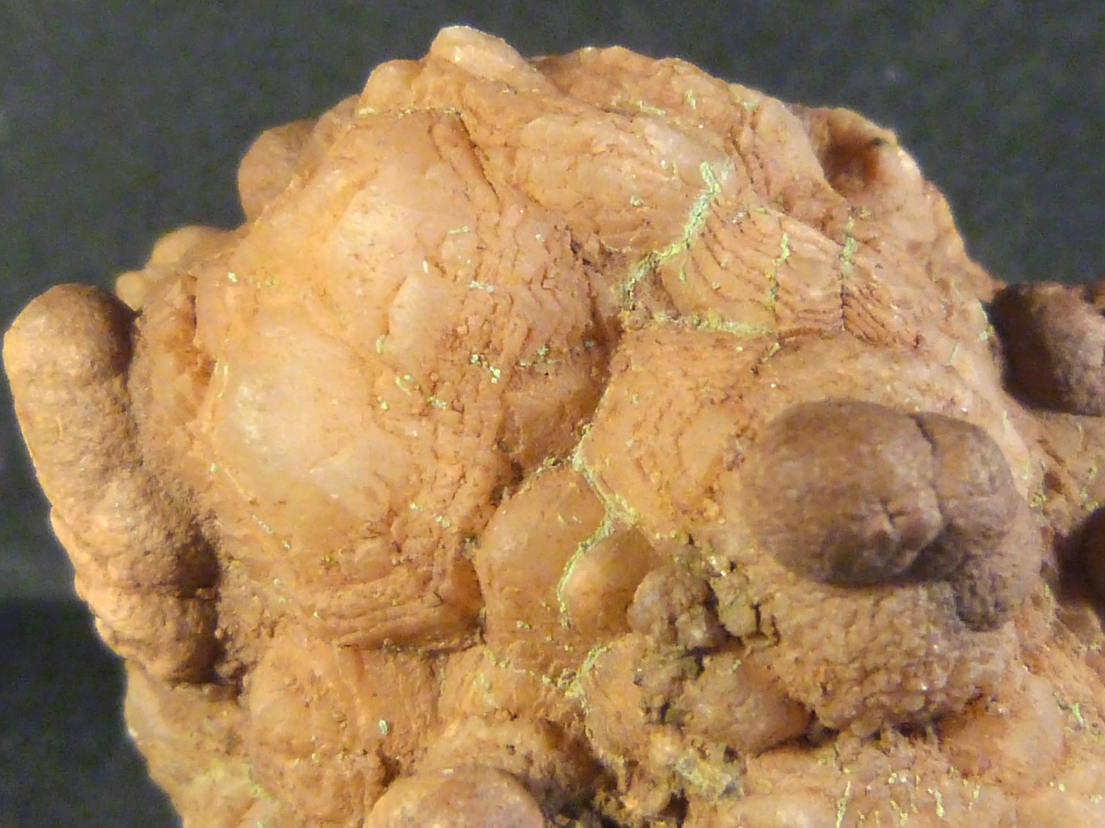 Cuarzo (variedad botroidal)
4 x 3,5 x 2,5 cm.
(Autor: Felipe Abolafia)