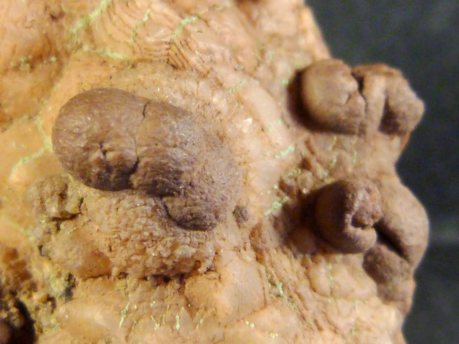 Cuarzo (variedad botroidal)
4 x 3,5 x 2,5 cm.
(Autor: Felipe Abolafia)