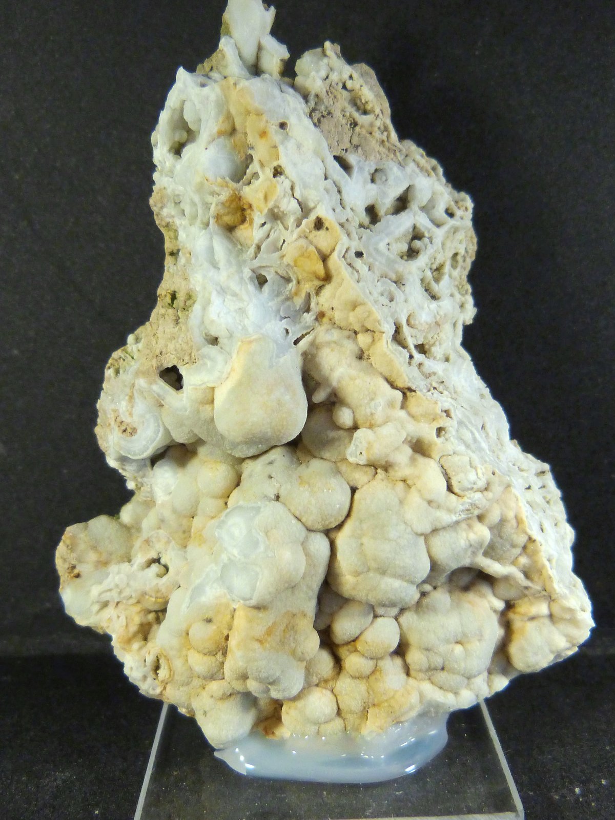 Celestina
6 x 8 x 2 cm.
(Autor: Felipe Abolafia)