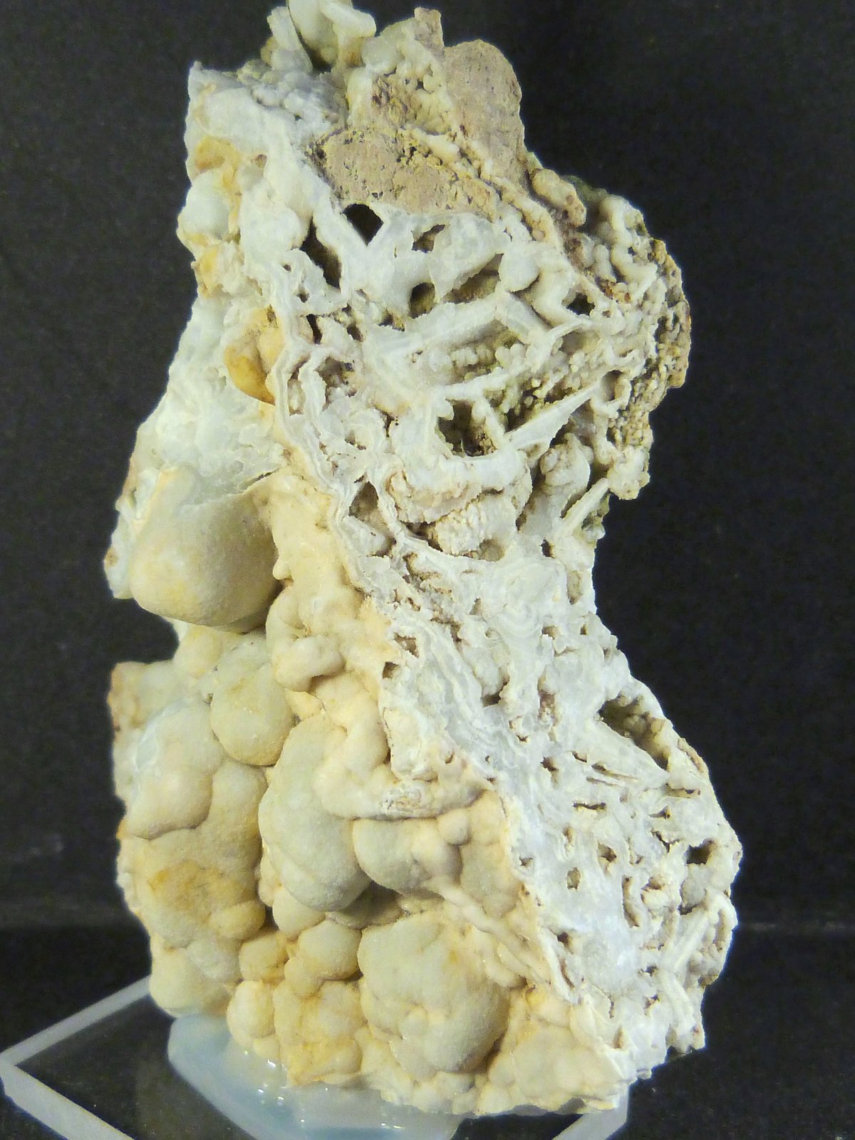 Celestina
6 x 8 x 2 cm.
(Autor: Felipe Abolafia)