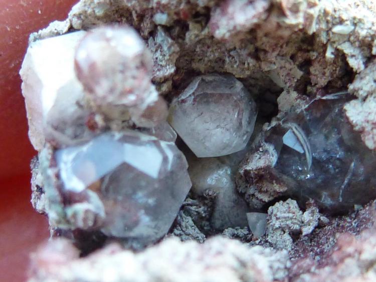 Analcima
3 x 2 cm, El cristal mayor 0,3 cm.
(Autor: javier ruiz martin)