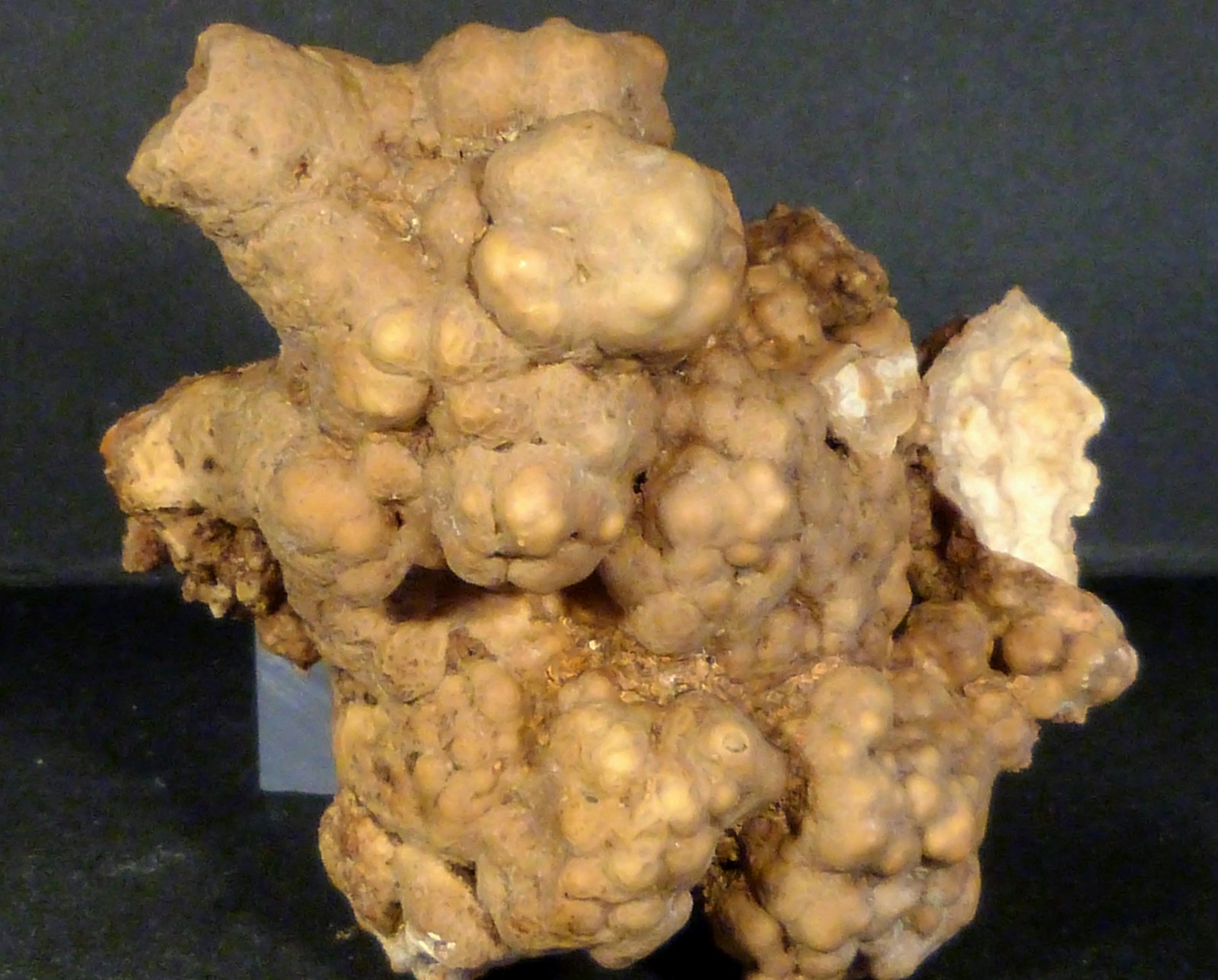 Aragonito
7 x 7 x 4 cm.
(Autor: Felipe Abolafia)