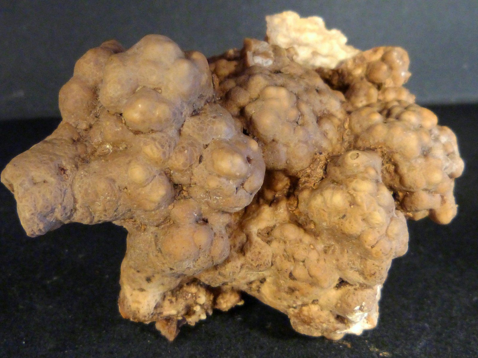 Aragonito
7 x 7 x 4 cm.
(Autor: Felipe Abolafia)