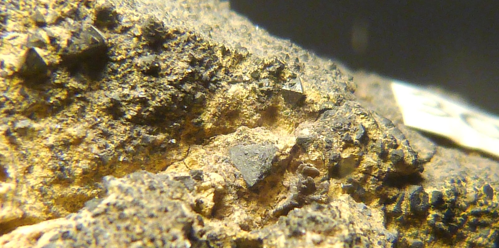 Magnetita y yeso
7 x 7 x 4 cm.
(Autor: Felipe Abolafia)