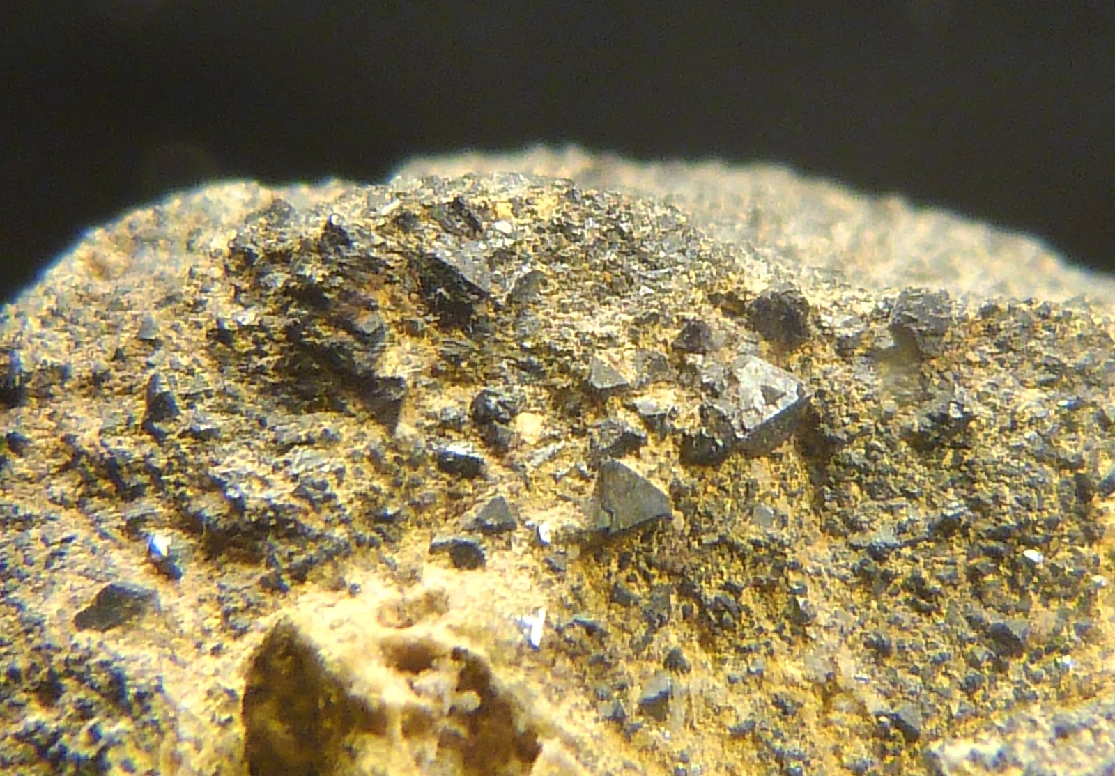 Magnetita y yeso
7 x 7 x 4 cm.
(Autor: Felipe Abolafia)