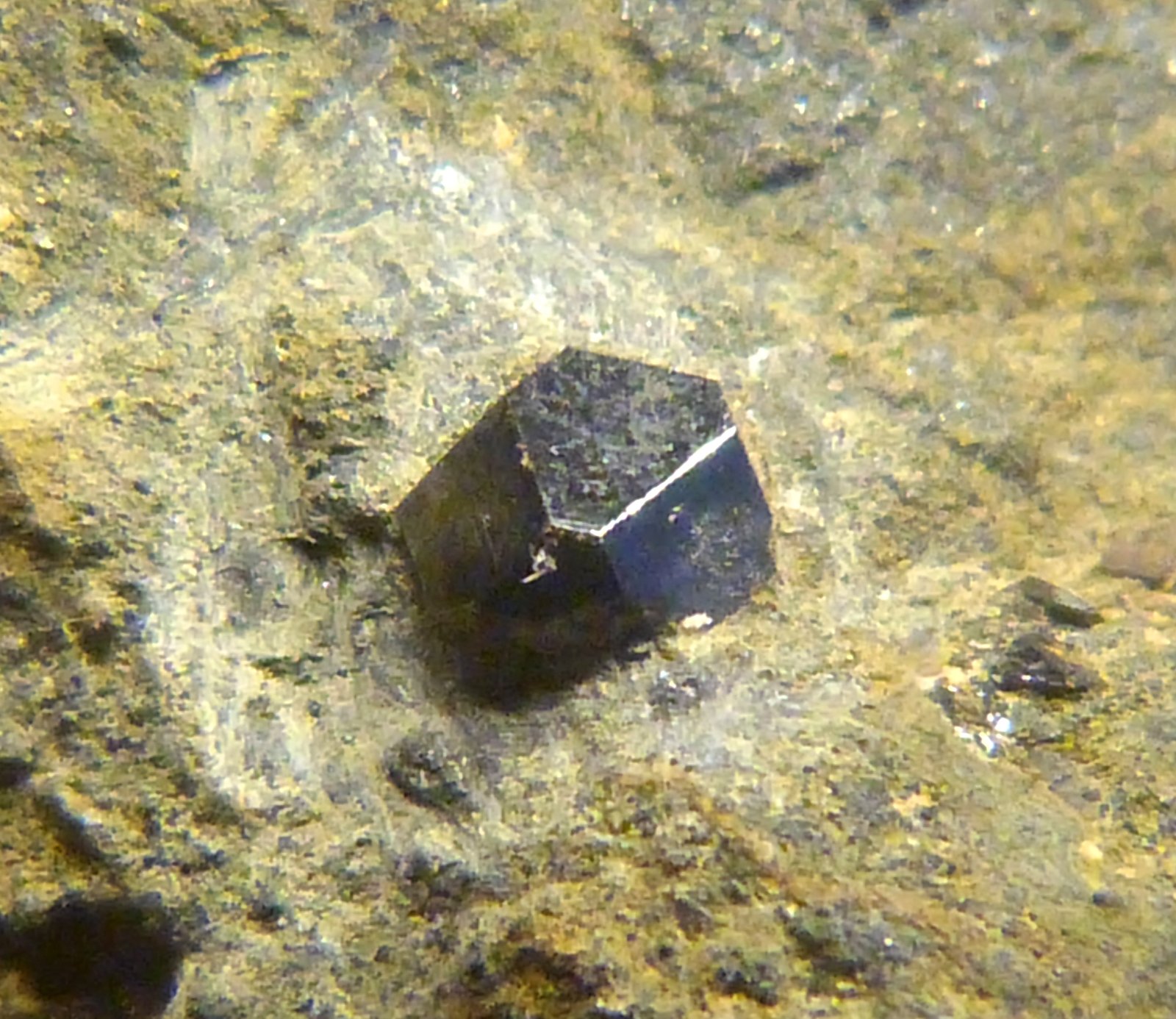 Magnetita
7 x 11 x 4 cm.
(Autor: Felipe Abolafia)
