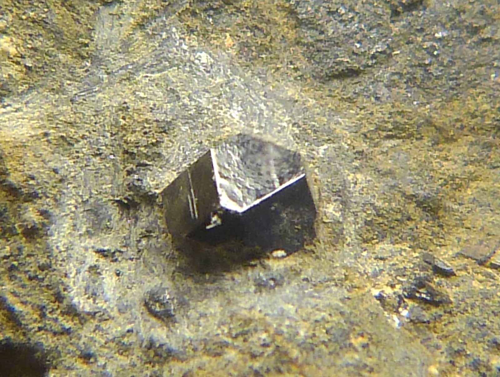 Magnetita
7 x 11 x 4 mm.
(Autor: Felipe Abolafia)