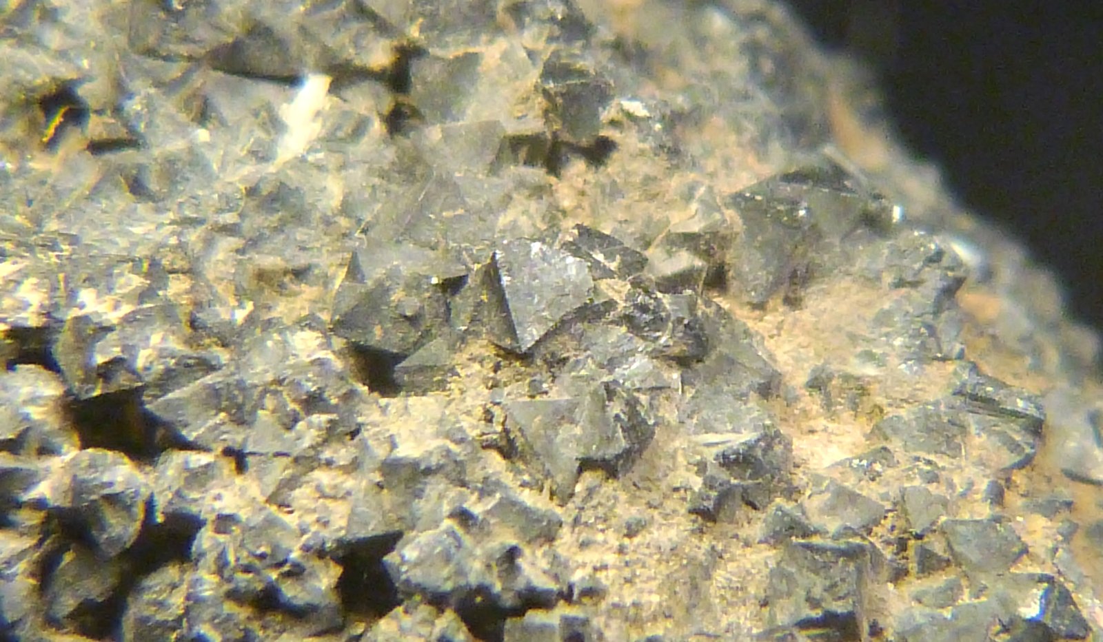 Magnetita
6 x 4 x 4,5 cm.
(Autor: Felipe Abolafia)