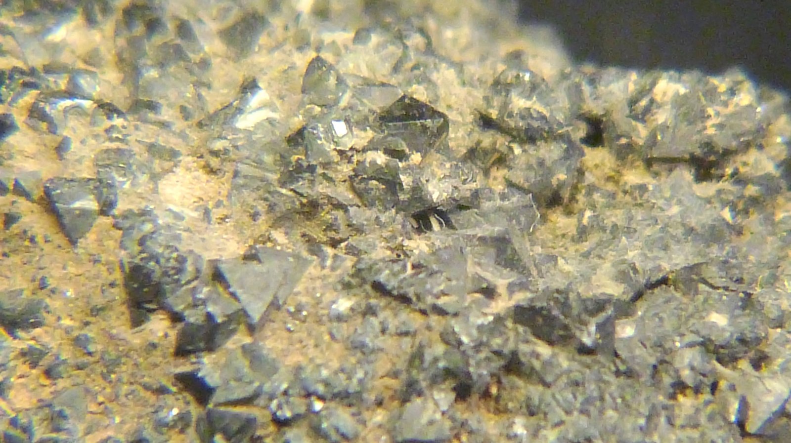 Magnetita
6 x 4 x 4,5 cm.
(Autor: Felipe Abolafia)