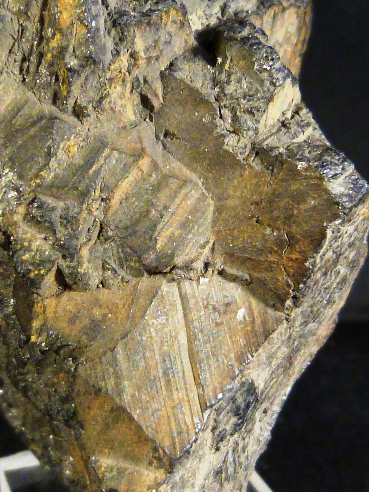 Magnetita
6 x 7 x 4 cm.
(Autor: Felipe Abolafia)