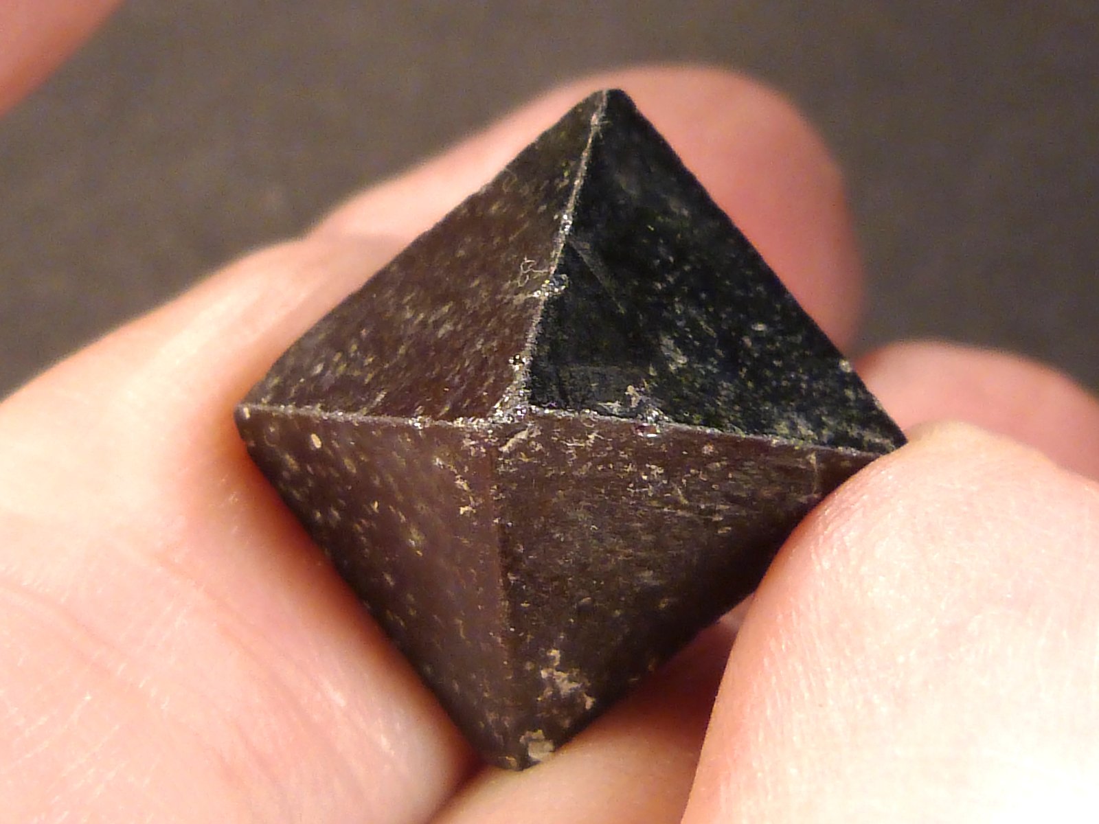 Magnetita
1,5 x 1,5 x 2 cm.
(Autor: Felipe Abolafia)