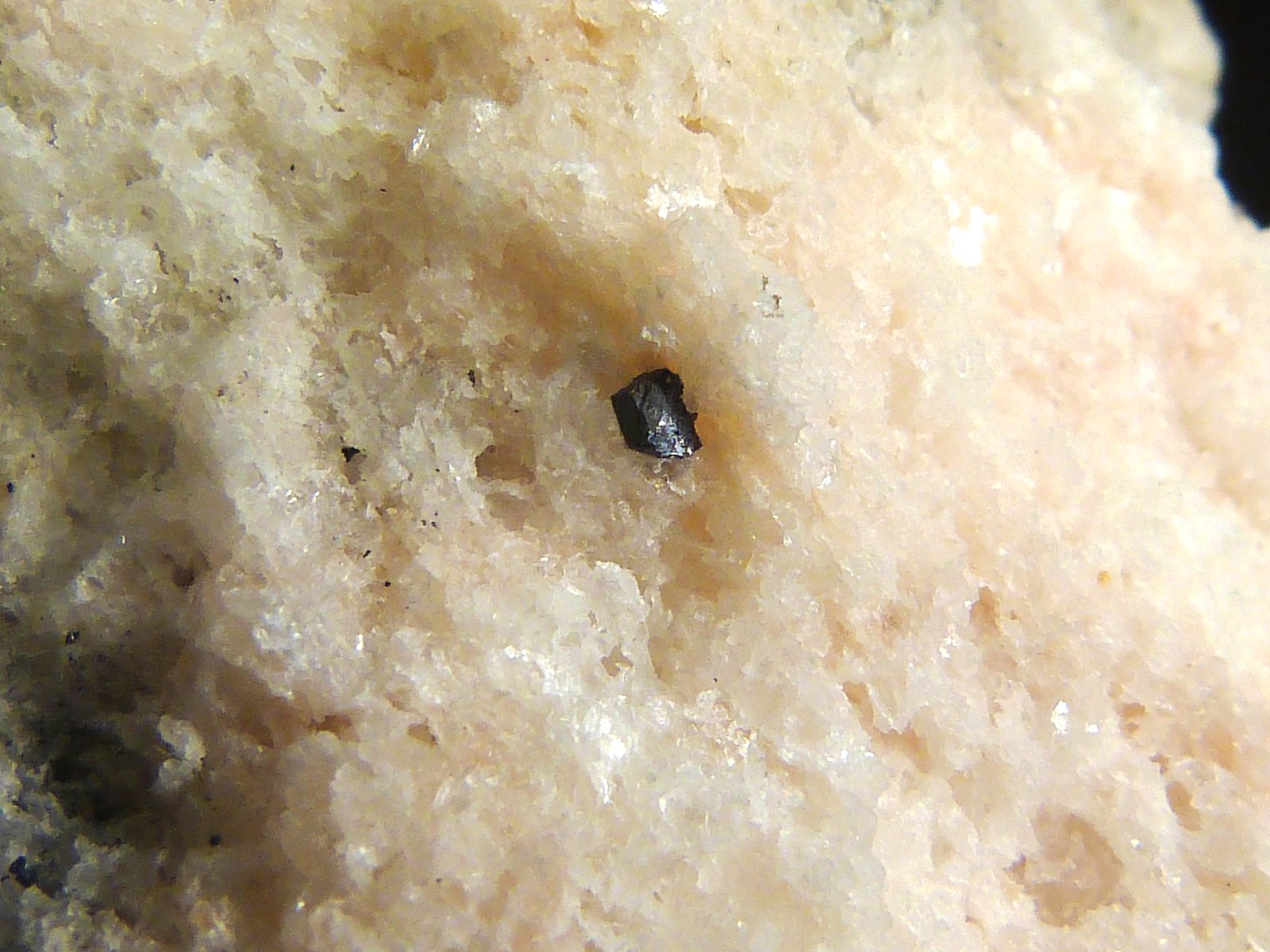 Yeso
5 x 8 x 5 cm.
(Autor: Felipe Abolafia)