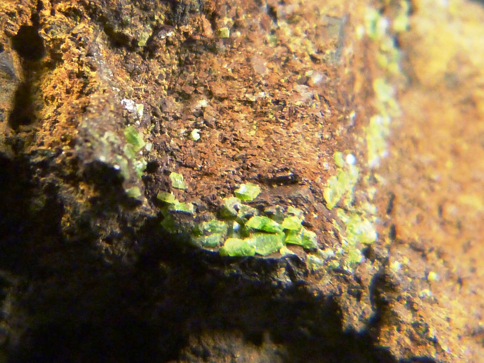 Piromorfita
4 x 5 x 3,5 cm.
(Autor: Felipe Abolafia)
