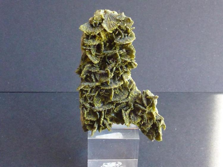 Clinozoisita
5 x 2 cm.
(Autor: javier ruiz martin)