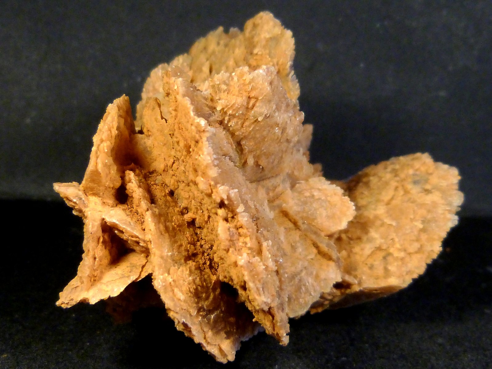 Yeso
6,5 x 5,5 x 6 cm.
(Autor: Felipe Abolafia)