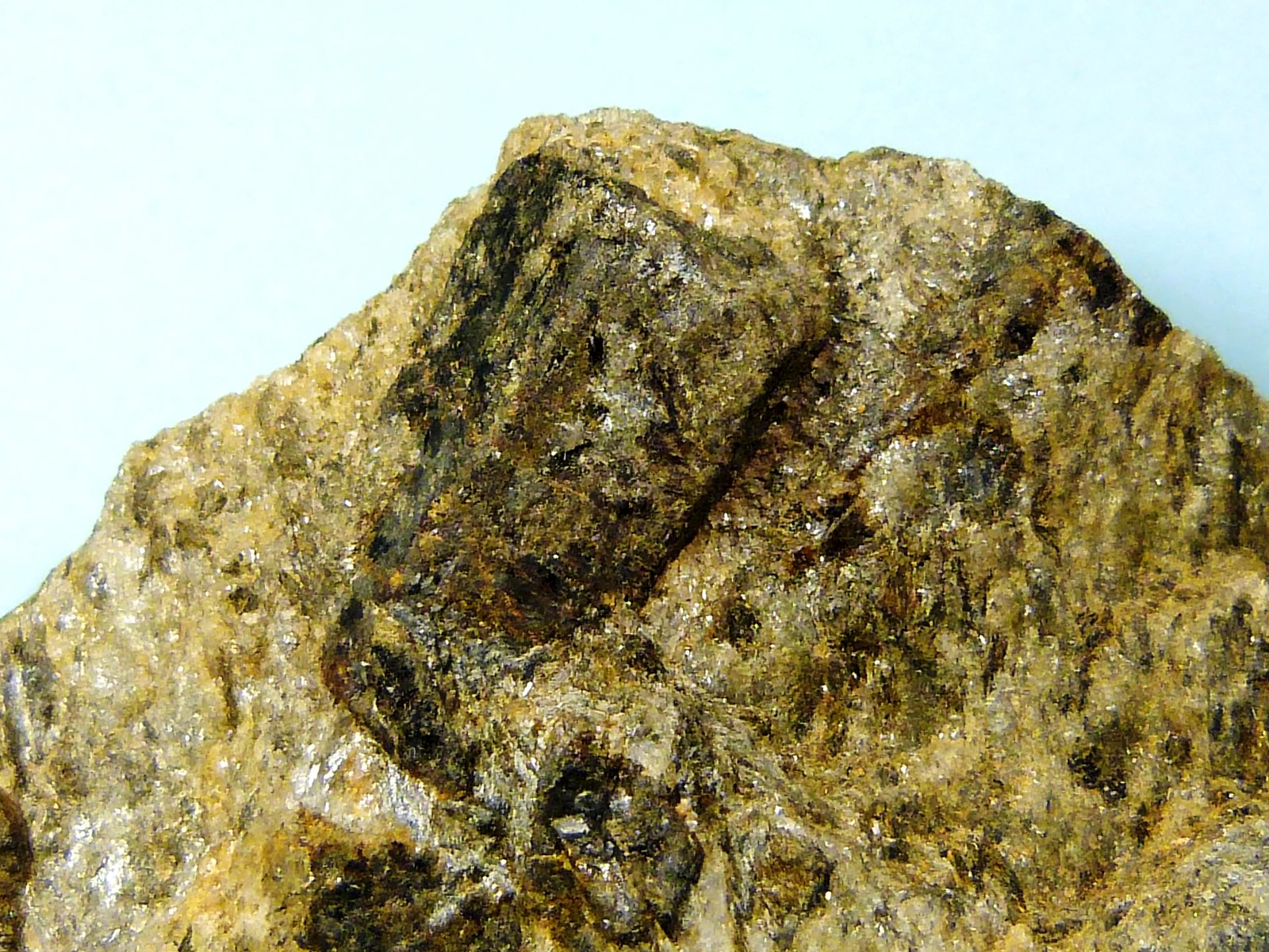 Estaurolita
6 x 6 x 1,5 cm.
(Autor: Felipe Abolafia)