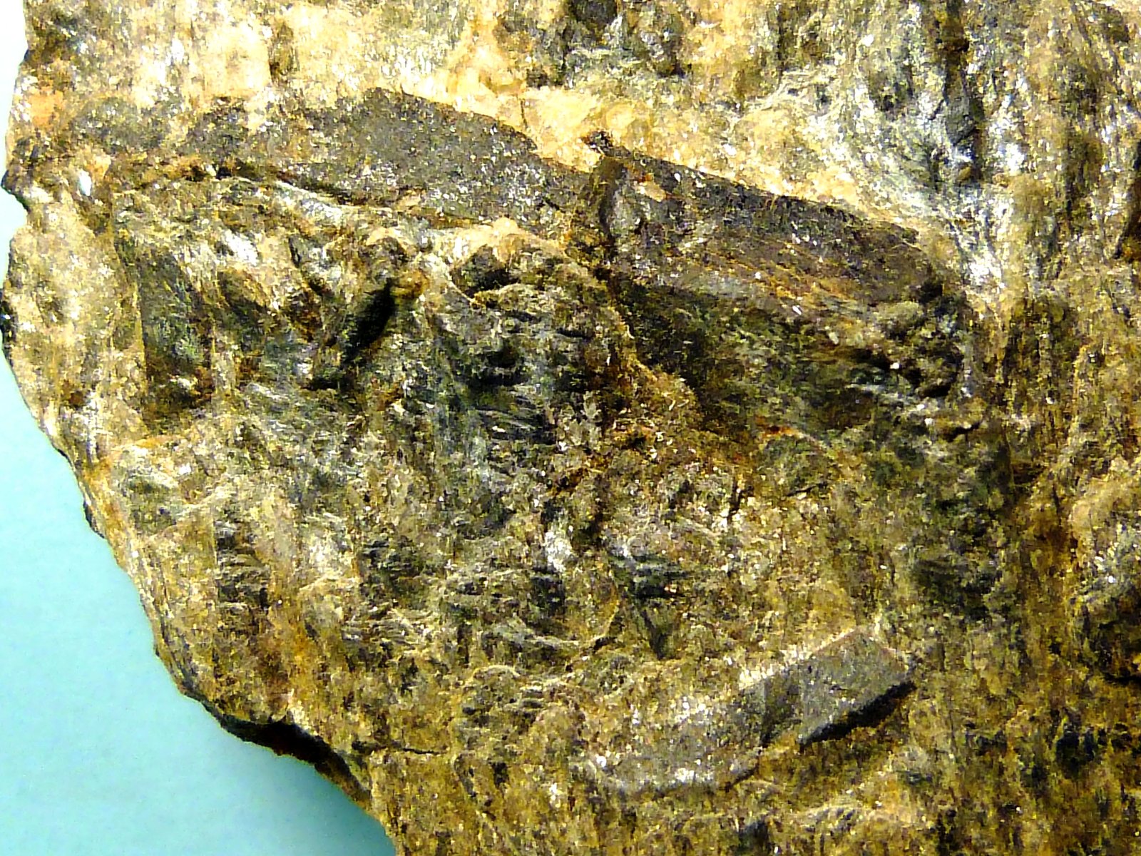 Estaurolita
6 x 6 x 1,5 cm.
(Autor: Felipe Abolafia)
