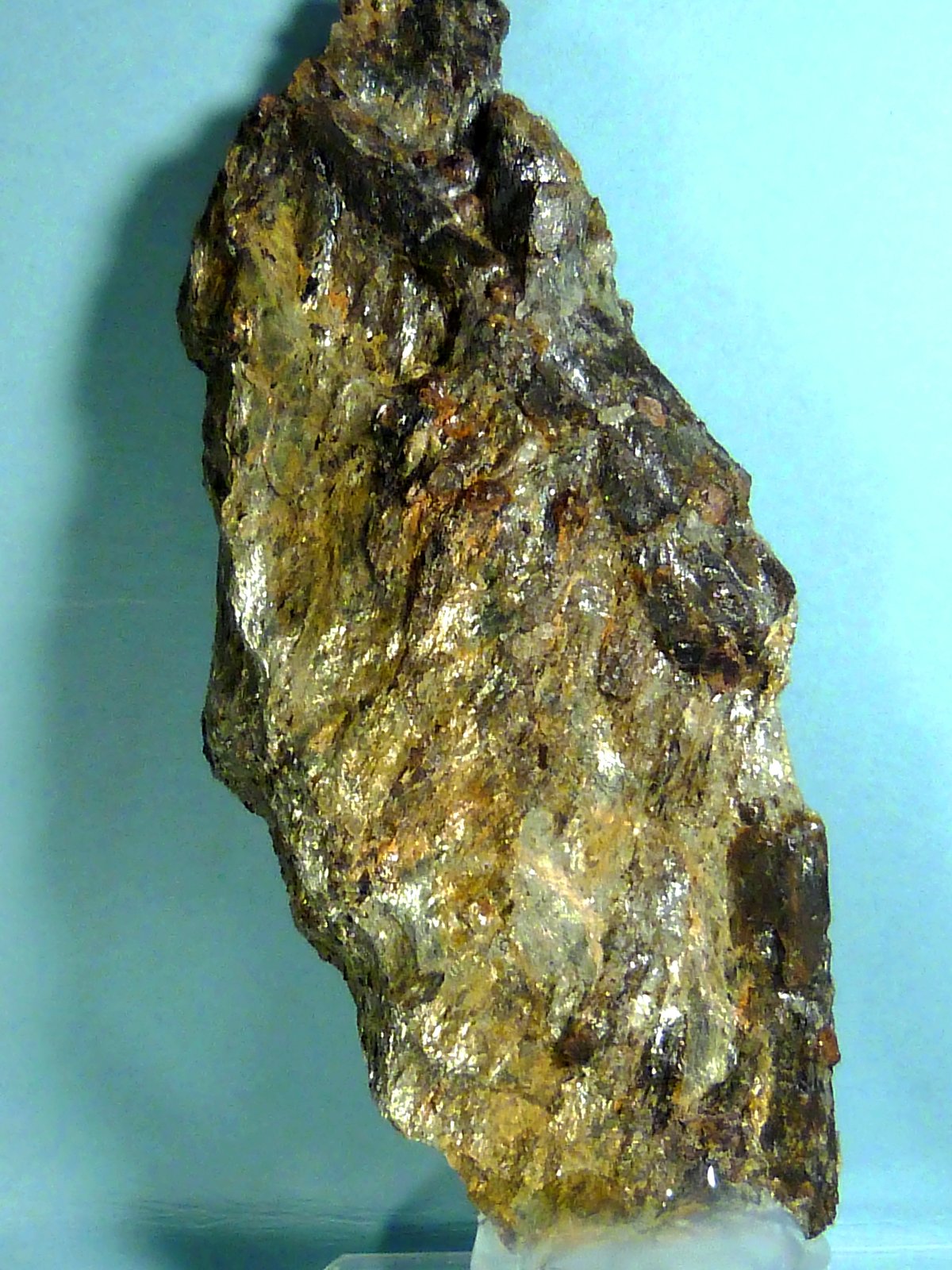 Estaurolita
7,5 x 3 x 2 cm.
(Autor: Felipe Abolafia)