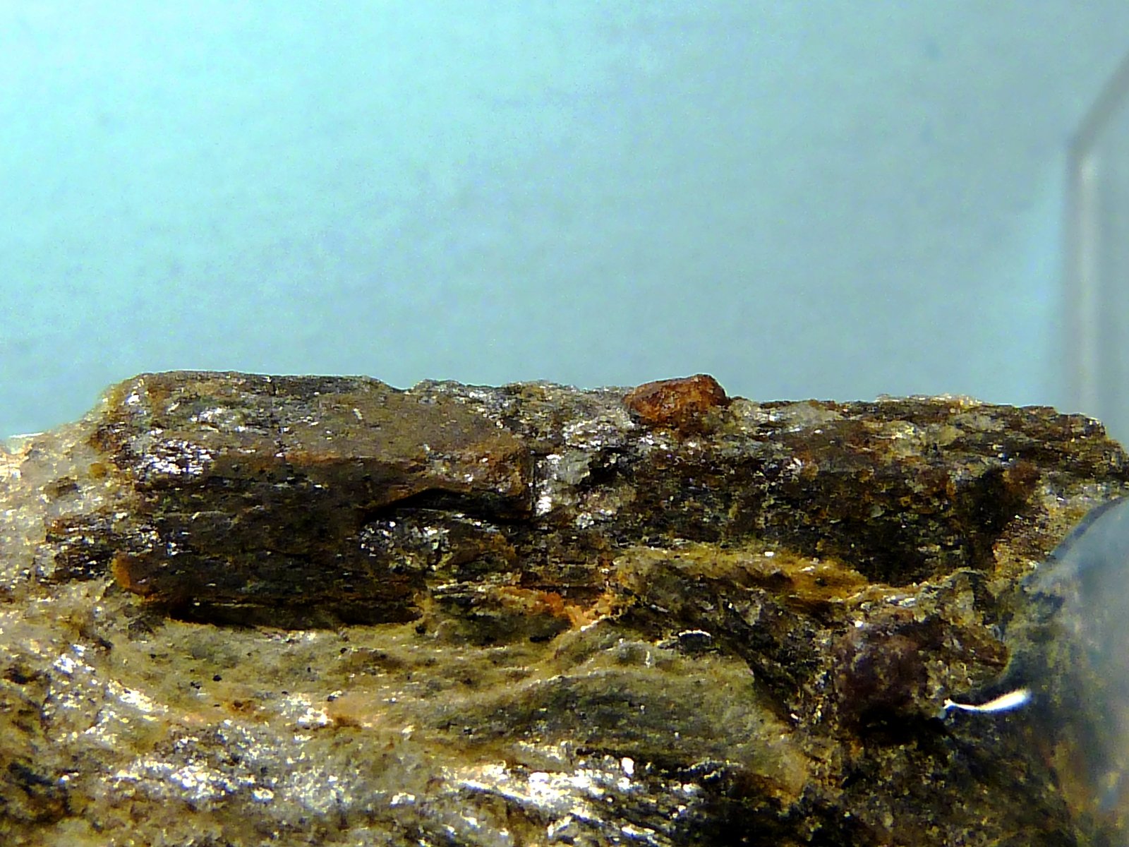 Estaurolita
7,5 x 3 x 2 cm.
(Autor: Felipe Abolafia)