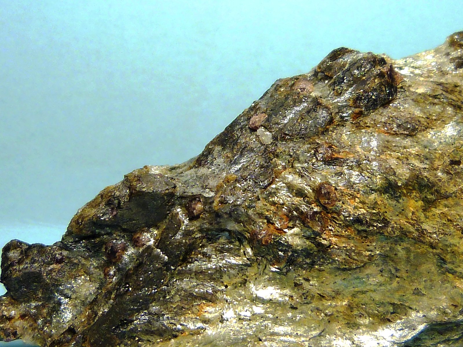 Estaurolita
7,5 x 3 x 2 cm.
(Autor: Felipe Abolafia)