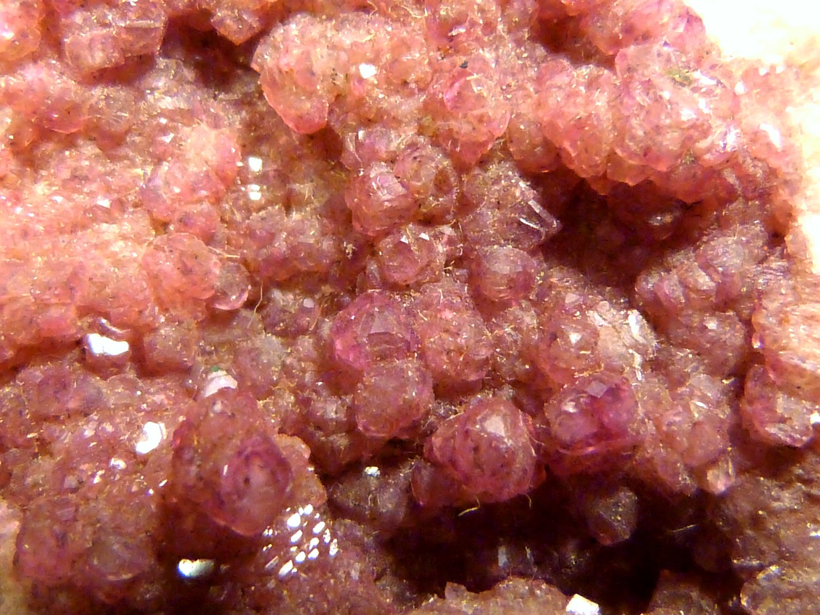 Calcita (variedad calcita cobaltífera)
5 x 5,5 x 3 cm.
(Autor: Felipe Abolafia)