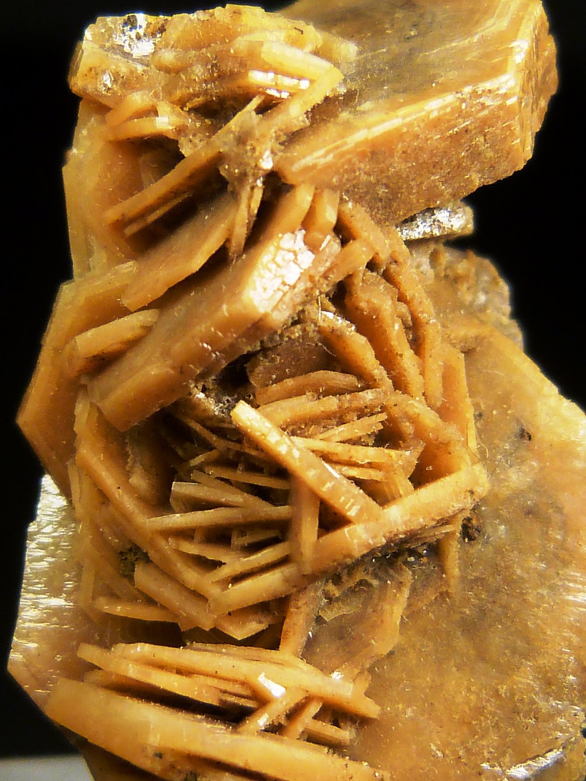 Baritina
2 x 3 x 1,5 cm.
(Autor: Felipe Abolafia)