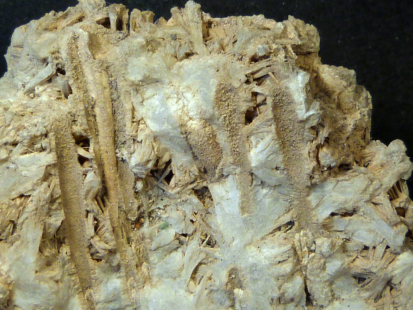 Celestina travertínica
7 x 8 x 5 cm.
(Autor: Felipe Abolafia)