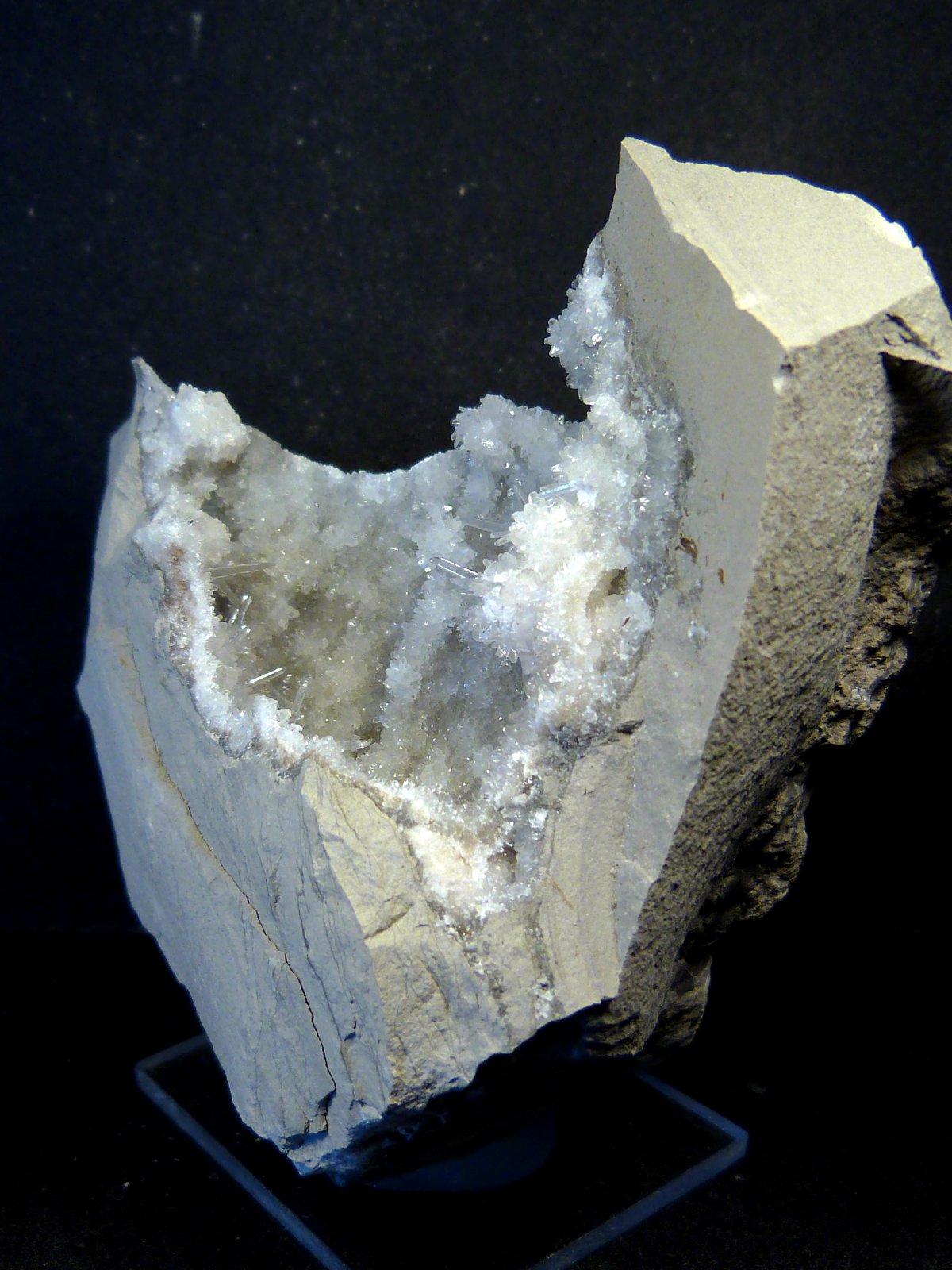 Celestina
7 x 9 x 4 cm.
(Autor: Felipe Abolafia)