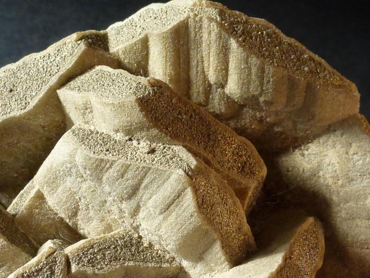 Siderita, Calcopirita
10 x 5 cm.
(Autor: javier ruiz martin)