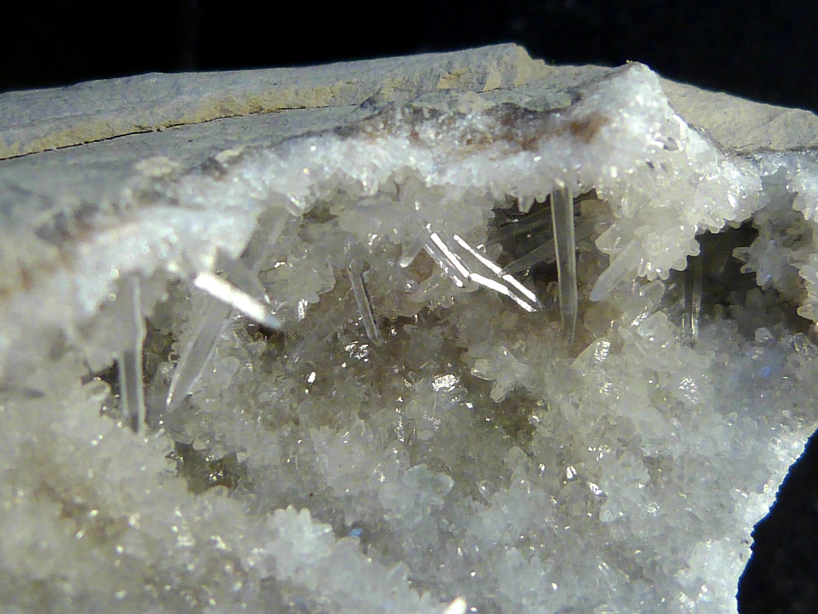 Celestina
7 x 9 x 4 cm.
(Autor: Felipe Abolafia)