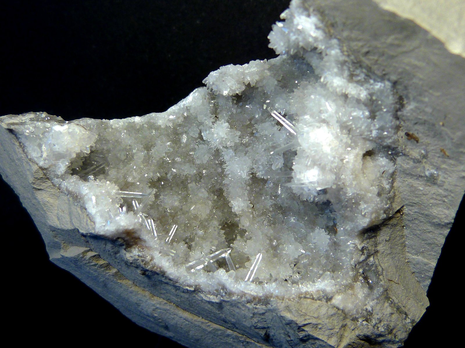Celestina
7 x 9 x 4 cm.
(Autor: Felipe Abolafia)