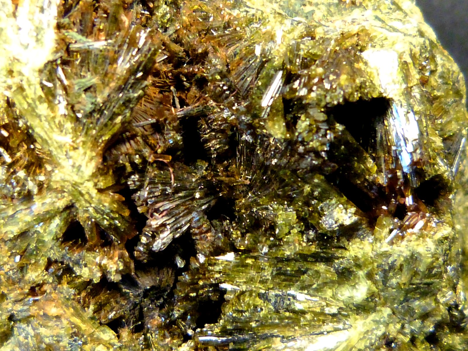 Epidota
5 x 7 x 4 cm.
(Autor: Felipe Abolafia)