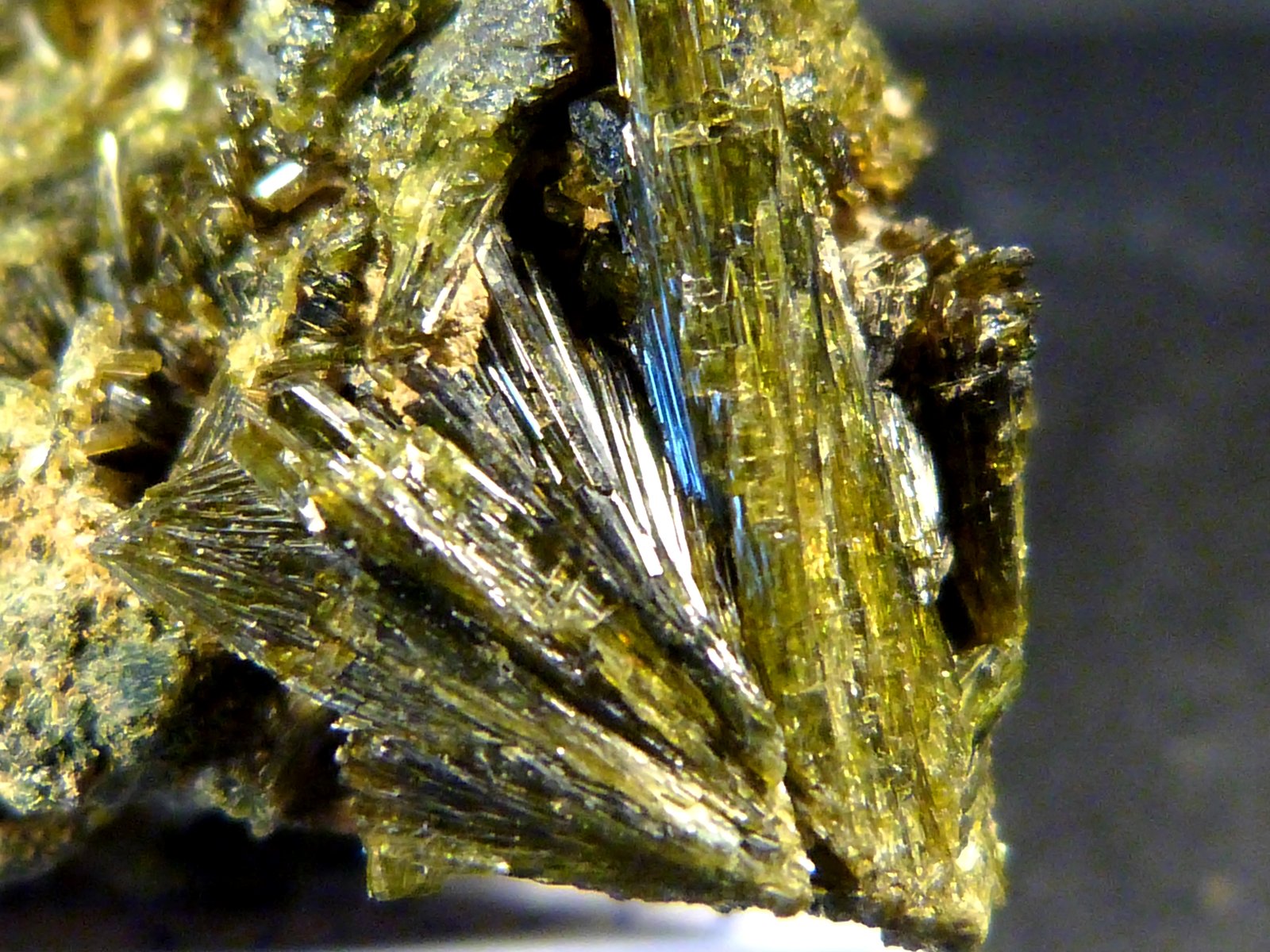 Epidota
5 x 4 x 3 cm.
(Autor: Felipe Abolafia)
