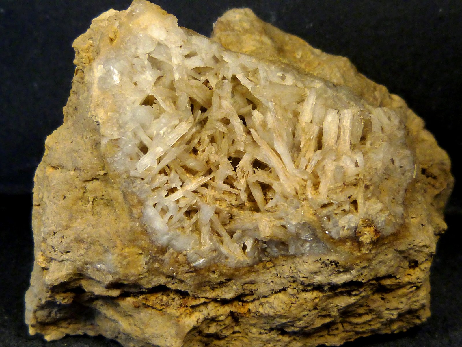 Celestina
8 x 6 x 6 cm.
(Autor: Felipe Abolafia)