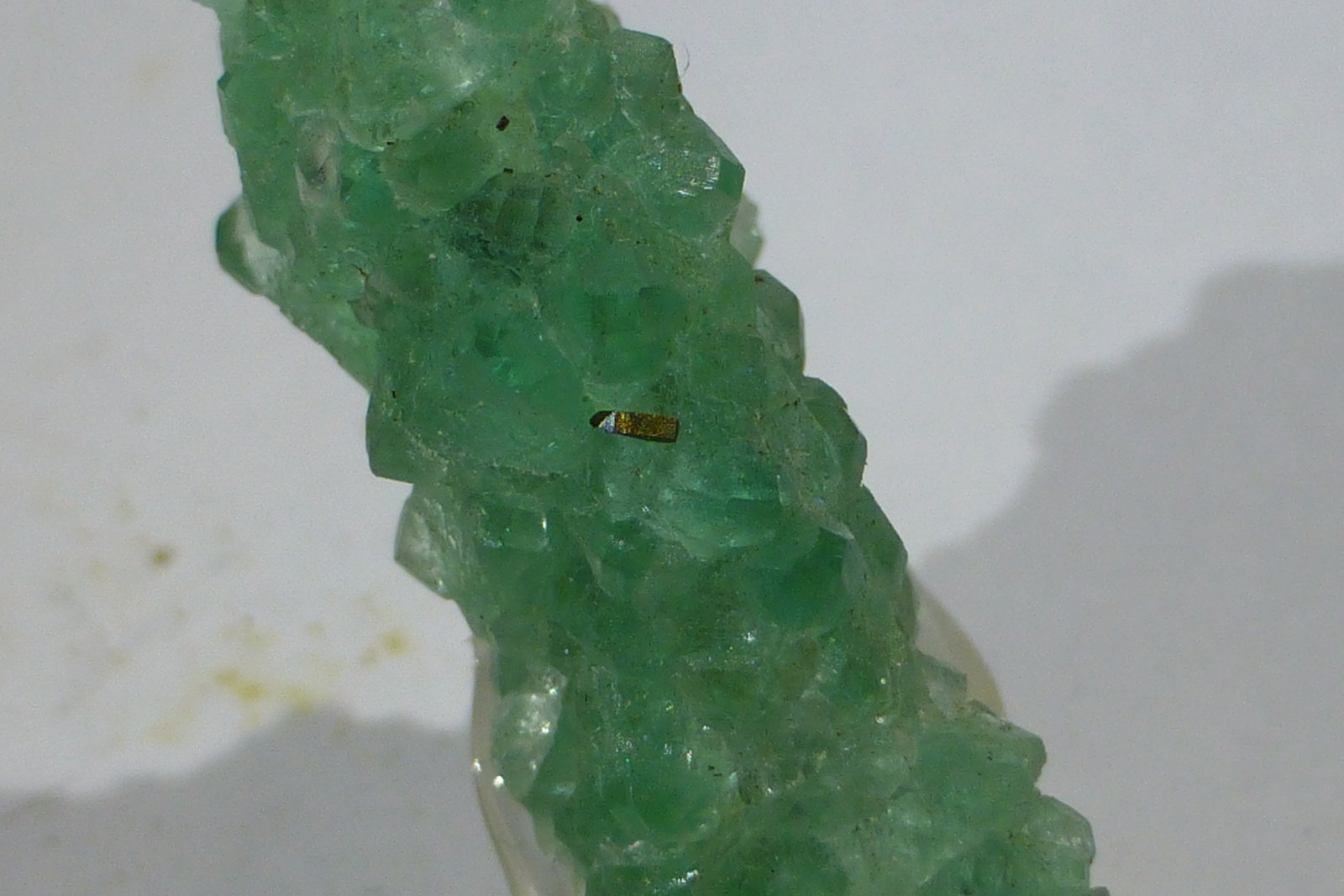Fluorita y Pirita
3cm aprox.
(Autor: heat00)