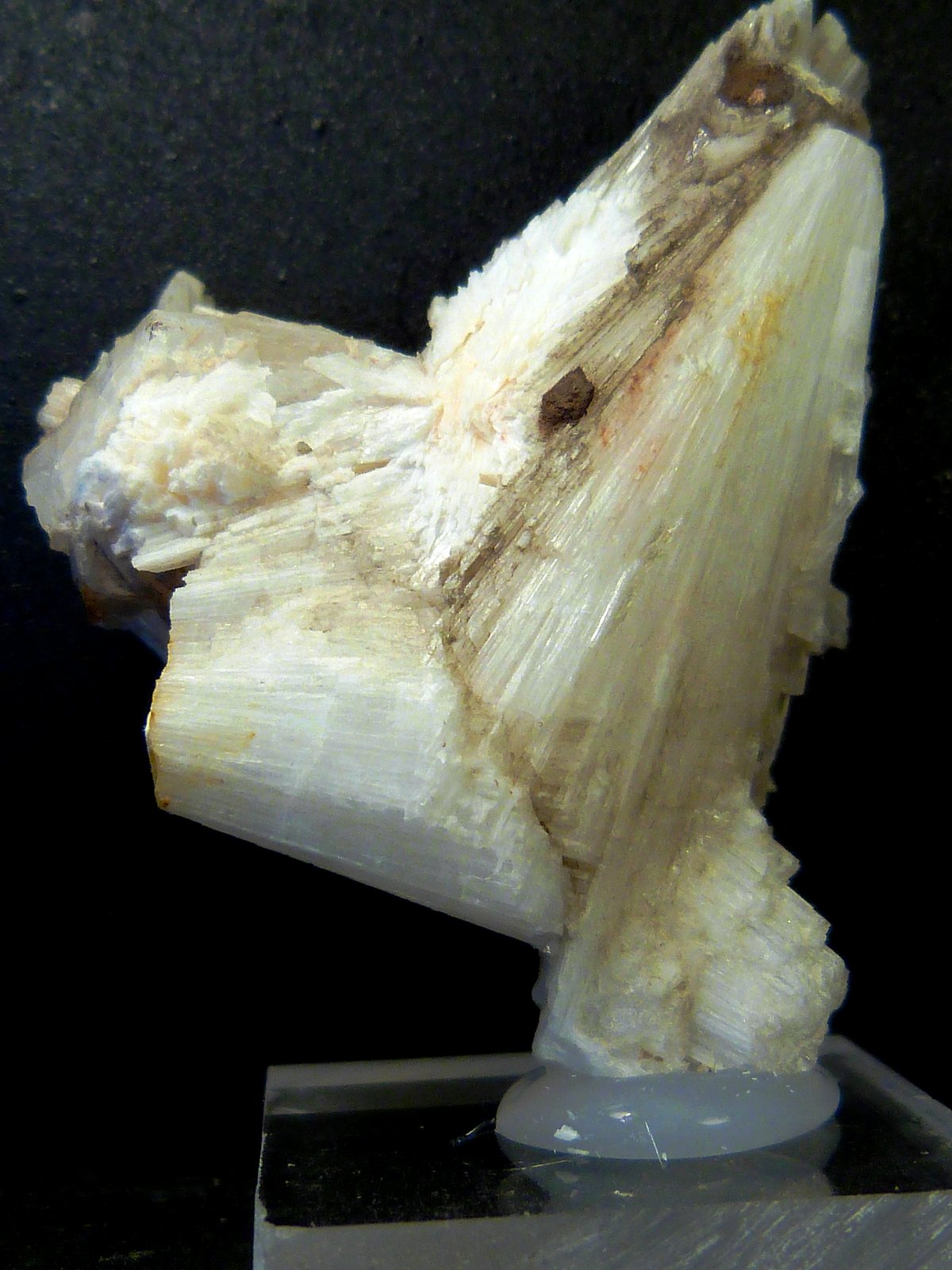 Escolecita
4 x 5 x 2 cm.
(Autor: Felipe Abolafia)