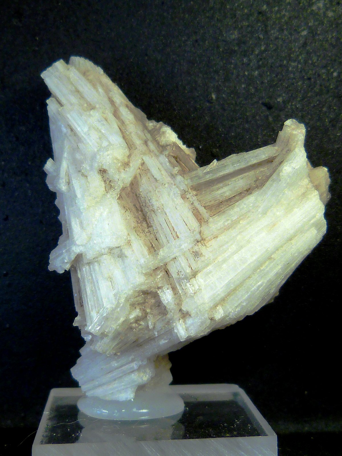Escolecita
4 x 5 x 2 cm.
(Autor: Felipe Abolafia)